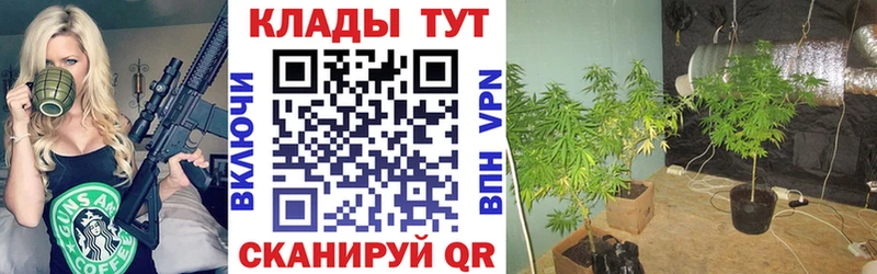Наркошоп купить ГАШИШ  А ПВП  Меф  МАРИХУАНА  КОКАИН  Алексин