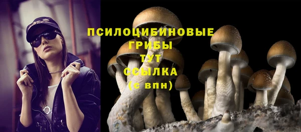шишки Кукмор