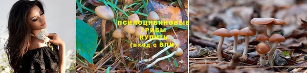 мдпв Кулебаки