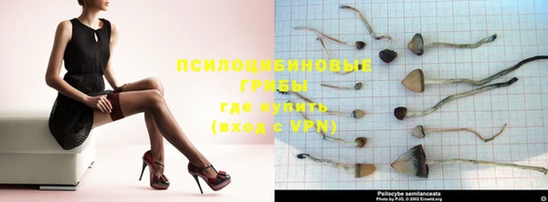 шишки Кукмор