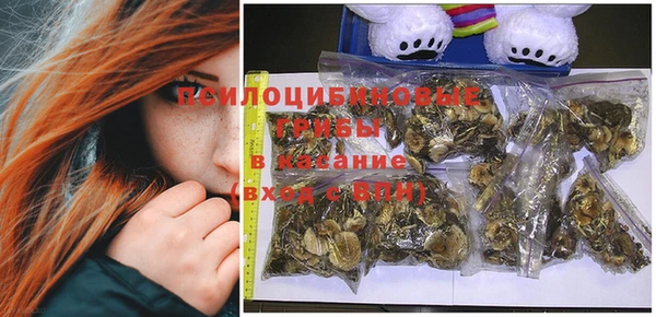 шишки Кукмор