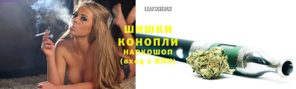 шишки Кукмор