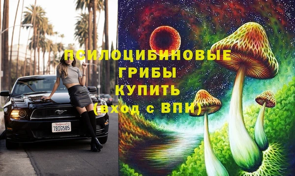 мдпв Кулебаки
