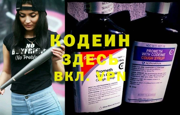 шишки Кукмор