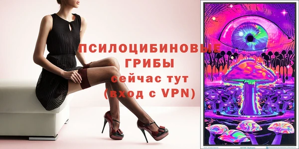 мдпв Кулебаки