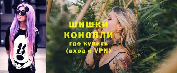 шишки Кукмор