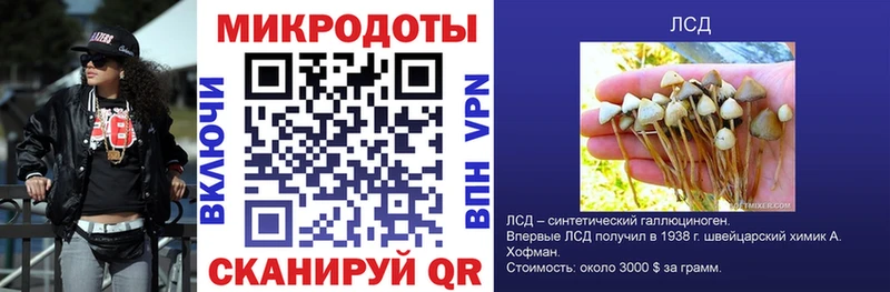 Псилоцибиновые грибы Cubensis  Купить где  Алексин 